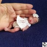 Cute silicone baby doll 5 inch Akaila by Kovalevadoll